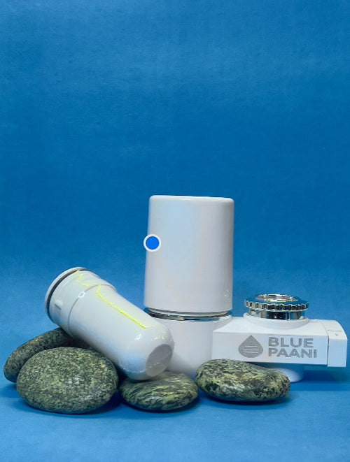 BluePaani Home Filter
